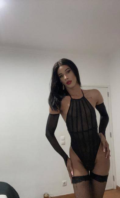 Aylah Trans Africana