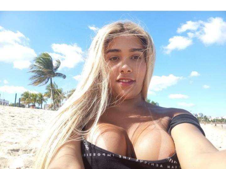 TRANS Novidade em Setúbal image 1