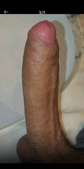Cubano 23cm novidade vem aproveitar o sangue latino image 2