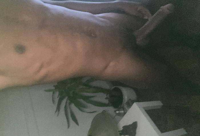 Jovem Pauzudo para vocês image 1