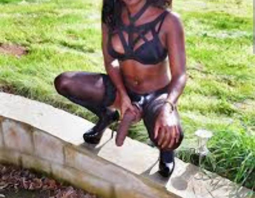 Trans Negra dotada 24cm Leiria