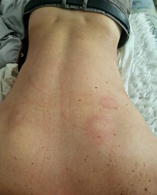 Dominatrix loba selvagem há parte de 100€ marcação prévia image 1