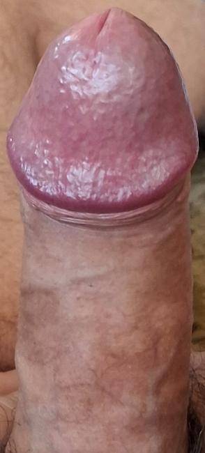 WHATSAPP ######ATENDO COM SIGILO SOMENTE SENHORAS ##### image 1