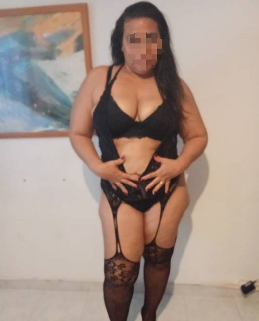 Morena novidades image 1