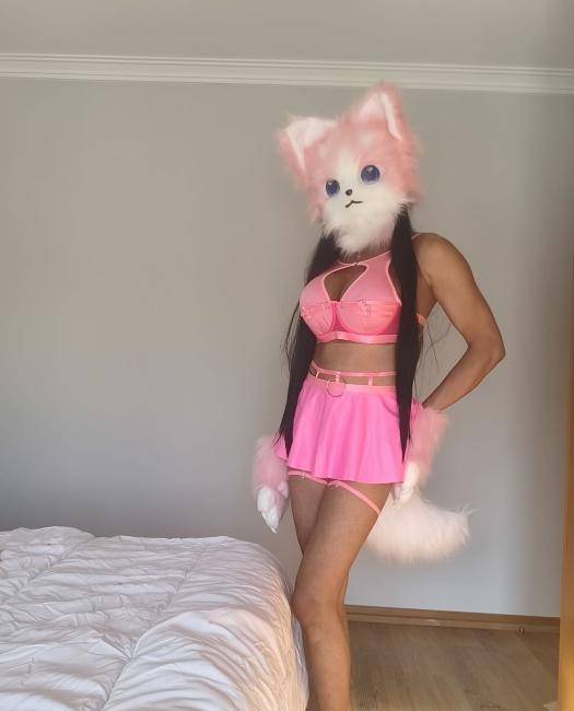 Bonequinha gatinha